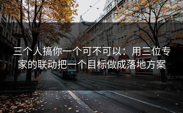 三个人搞你一个可不可以:用三位专家的联动把一个目标做成落地方案 三个人搞你一个可不可以:用三位专家的联动把一个目标做成落地方案