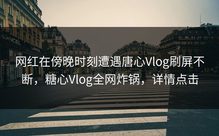 网红在傍晚时刻遭遇唐心Vlog刷屏不断，糖心Vlog全网炸锅，详情点击