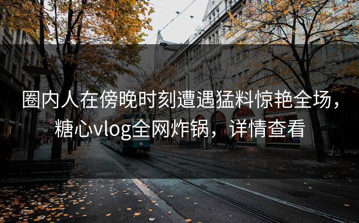 圈内人在傍晚时刻遭遇猛料惊艳全场，糖心vlog全网炸锅，详情查看