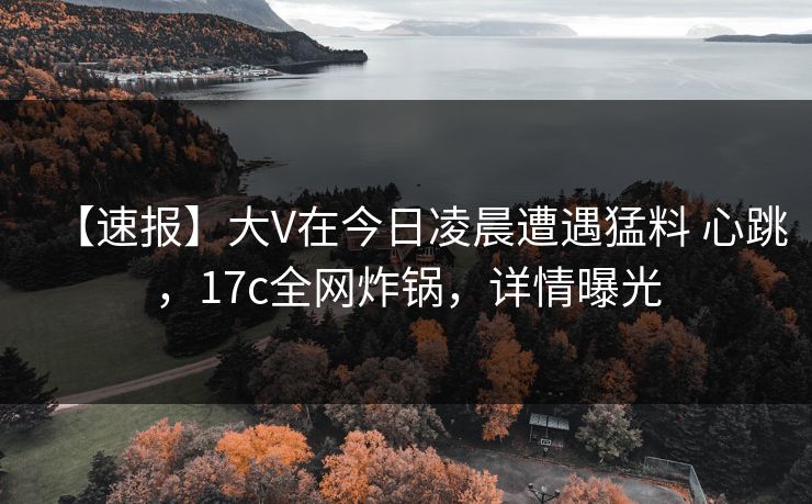 【速报】大V在今日凌晨遭遇猛料 心跳，17c全网炸锅，详情曝光