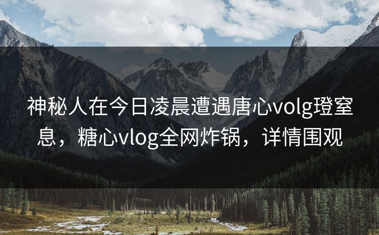 神秘人在今日凌晨遭遇唐心volg璒窒息，糖心vlog全网炸锅，详情围观